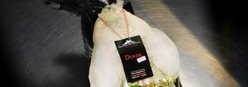 Nos Dindes fermières du Gers