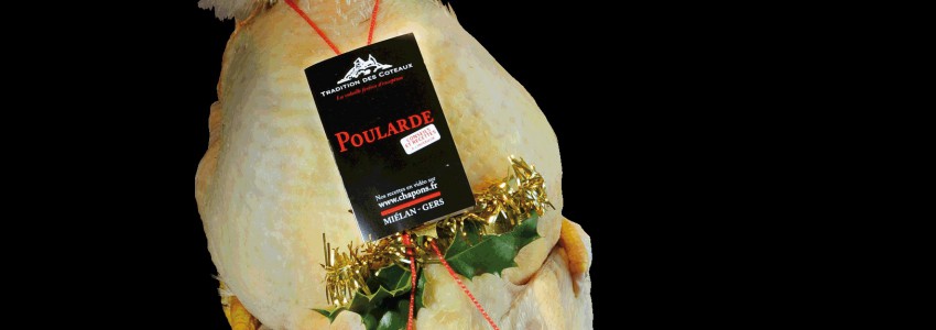 Nos Poulardes du Gers