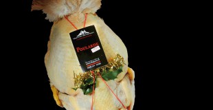 Nos Poulardes du Gers