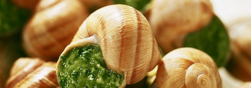 Nos escargots