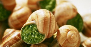 Nos escargots