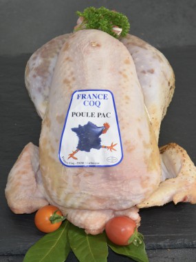 poule