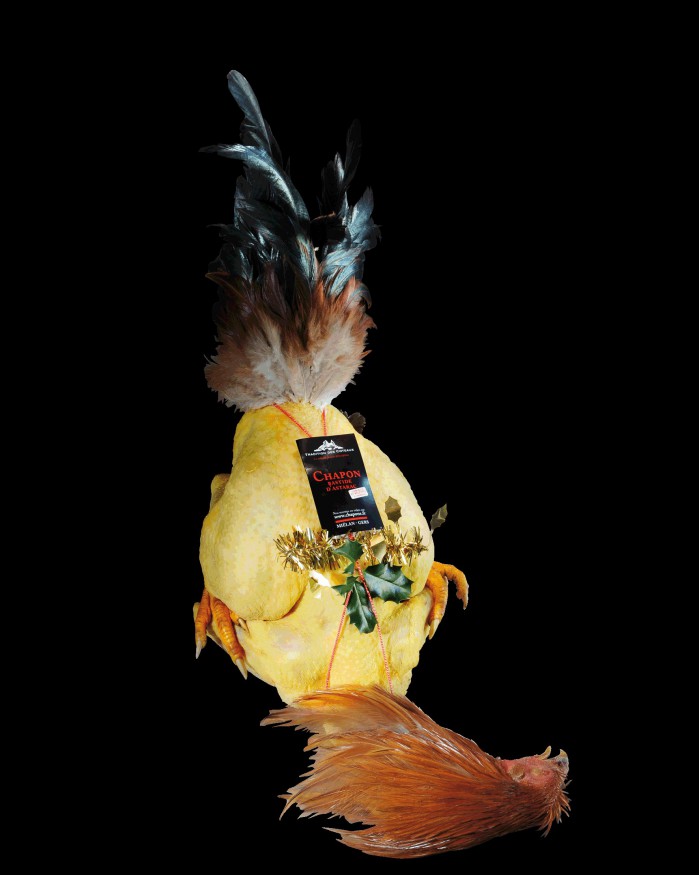 Chapon farce morilles