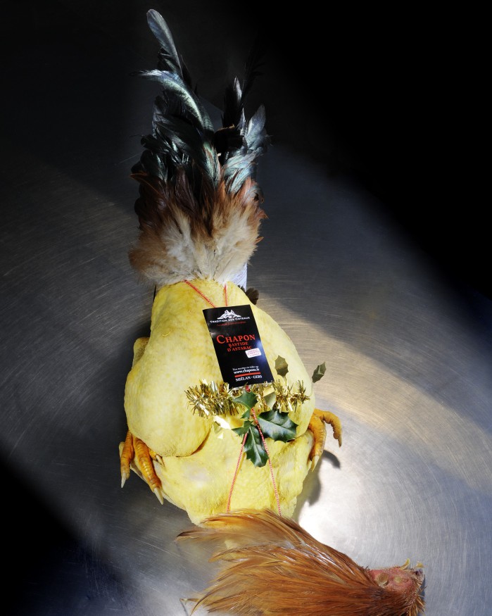 Chapon farce fine nature
