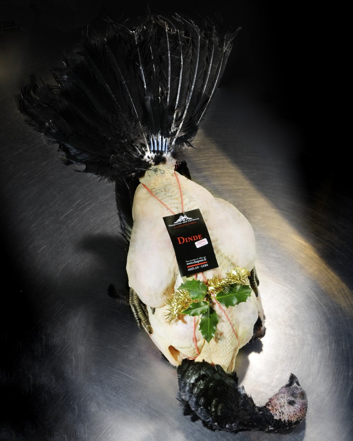 Dinde festive farce morilles