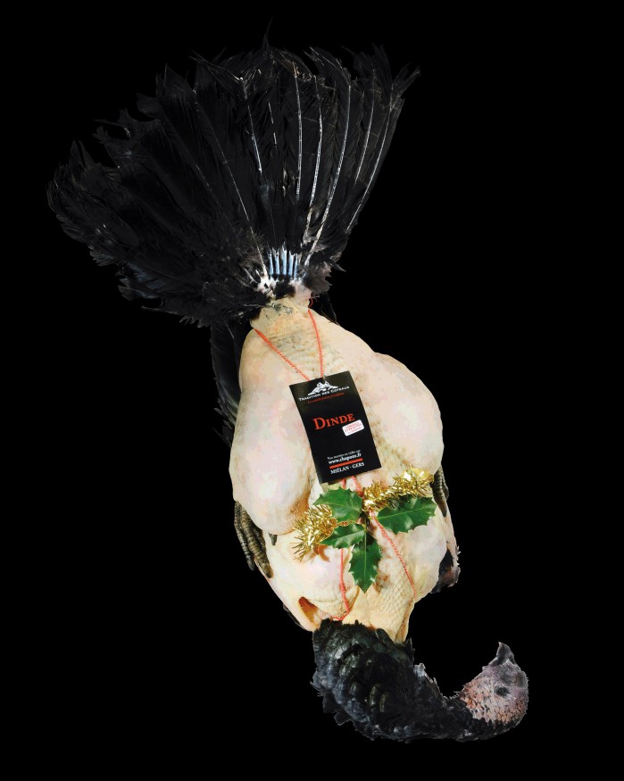 Dinde festive farce morilles