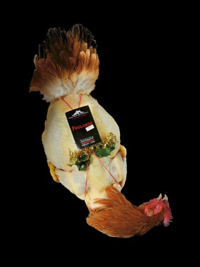 Poularde fermière non farci