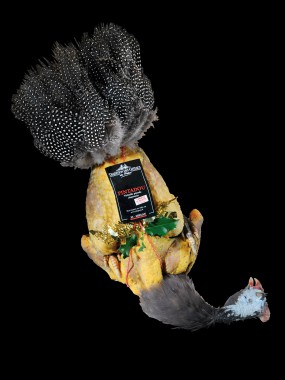 Pintadou (Chapon de pintade) Farce nature