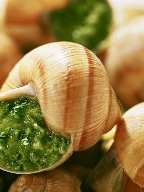Escargots de Bourgogne