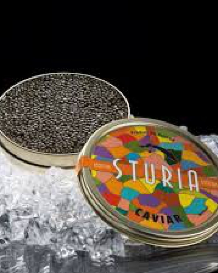 Caviar Oscietre 15 grammes